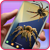 Spider On Screen Prank icon