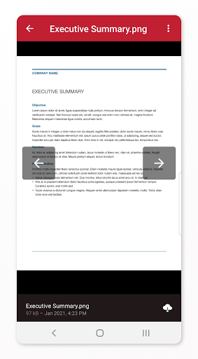Files.com Screen 3