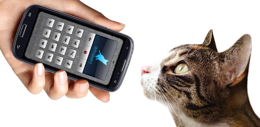 猫叫 猫と遊ぶ Google Play のアプリ