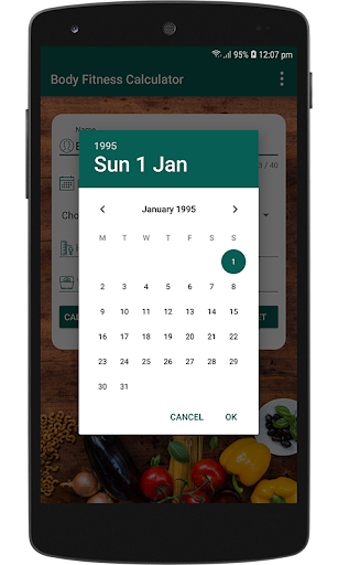 Body Fitness Calculator Screen 2