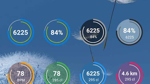 Tools & Mi Band Apk 4.2.1 Paid Version For Android or iOS Gallery 7