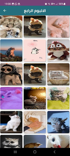 خلفيات قطط CATZ Screen 2