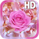 Rose Petals Live Wallpaper icon