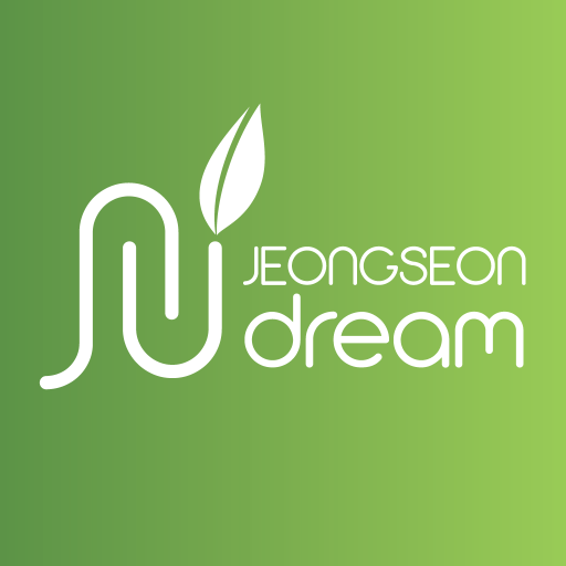 정선드림 - JSDREAM logo