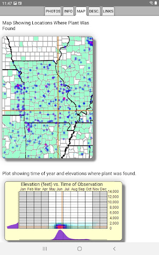 Missouri Wildflowers