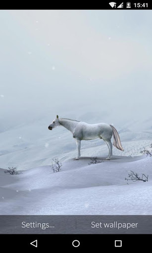 3D White Horse Live Wallpaper