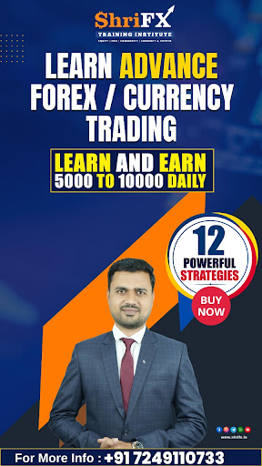 ShriFX Training Institute Screen 2