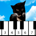 Maxwell the Cat piano 