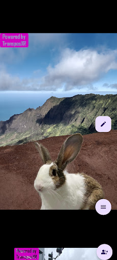 transposXR: Fast Meme Creator Screen 2