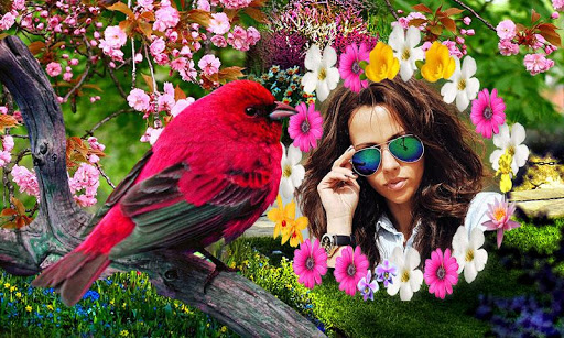 Birds Photo Frames HD Screen 2