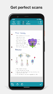 Notebloc Scanner App – Scan, save & share as PDF 3