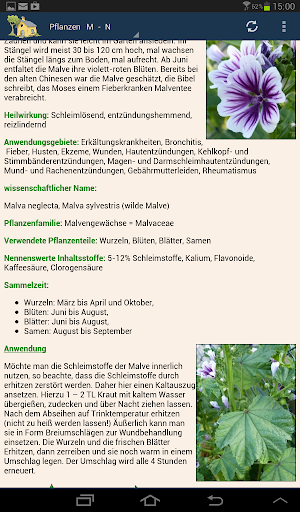 Heilpflanzen - Heilkräuter