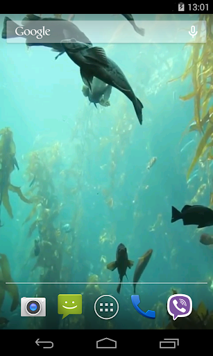Aquarium HD Live Wallpaper Screen 3