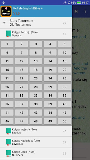Polish-English Bible Audio Pro Screen 2