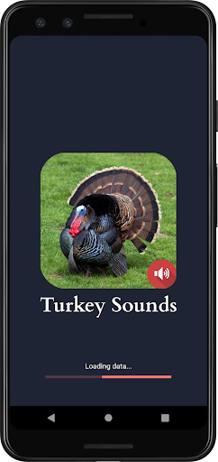 Android application Turkey Sounds screenshort
