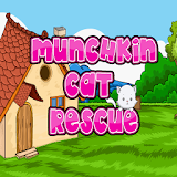 Munchkin Cat Rescue icon