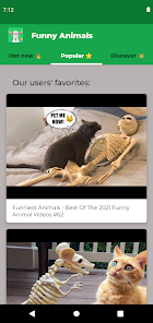 Funny videos animals 2021 new arrivals
