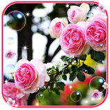 Roses Garden Free HD LWP icon