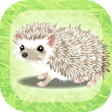 Hedgehog Pet icon