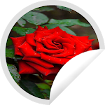 Cover Image of Download Figurinhas de Rosas Vermelhas 1.3 APK