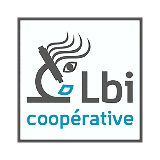 IDE-LBI 6.0.15 Icon