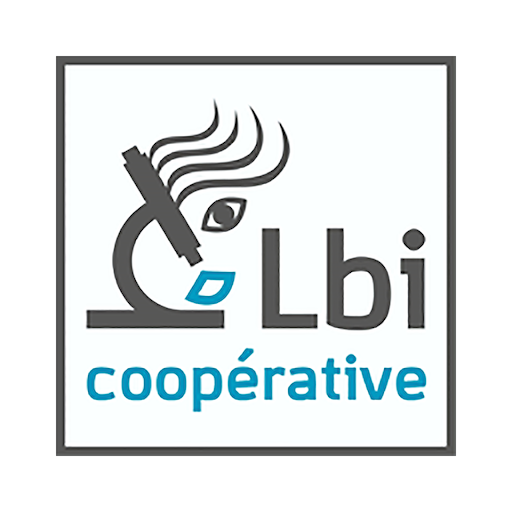 IDE-LBI 6.0.11 Icon