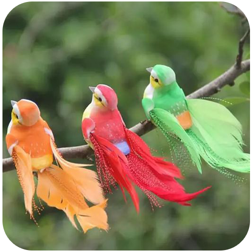Bird Ringtones For Android logo