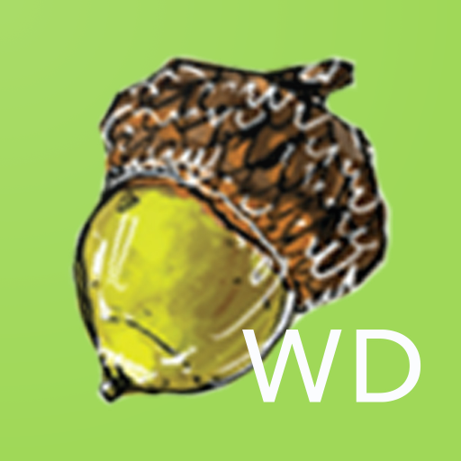 WORRY Deck logo