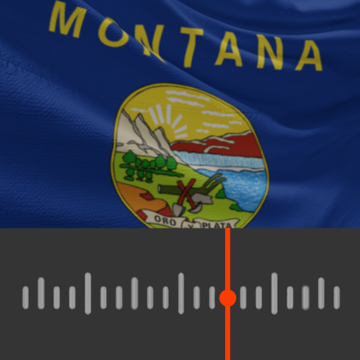 Montana Radio Stations logo