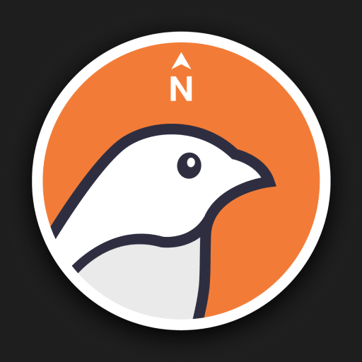 TripNiceDay logo