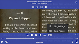 screenshot of EPUB Reader for all books