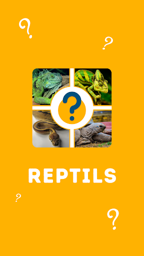 Quiz 2022 - Reptiles