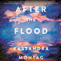 Simge resmi After the Flood: A Novel