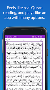 HOLY QURAN - القرآن الكريم