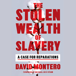Icon image The Stolen Wealth of Slavery: A Case for Reparations