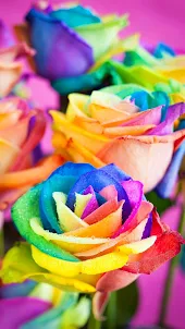 Rainbow Flower Wallpaper HD