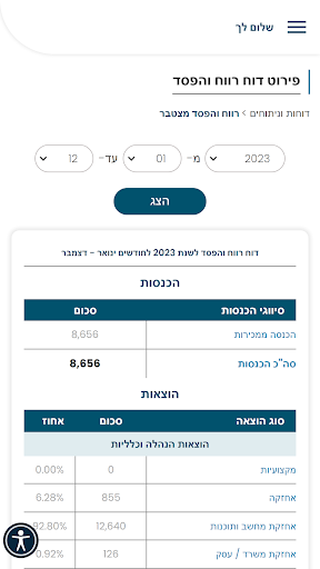 רותם גרופי רואה חשבון Screen 3