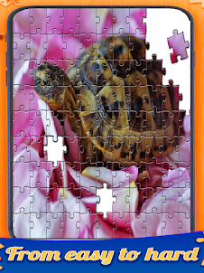 Turtle's Jigsaw Puzzles