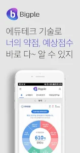 해커스토익 빅플(Bigple) - 인공지능 토익튜터