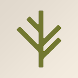 Branch Insurance icon