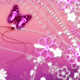 pink butterfly wallpapers icon