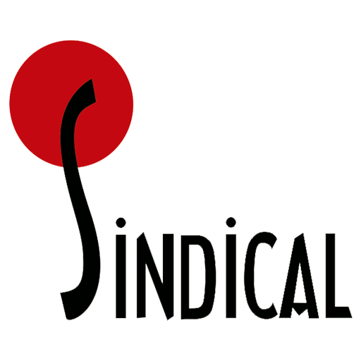 SINDICAL-DF logo