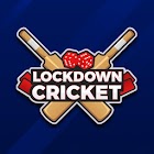 Lockdown Cricket 1.5