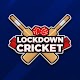 Lockdown Cricket