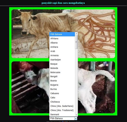 cow disease and how to treat it