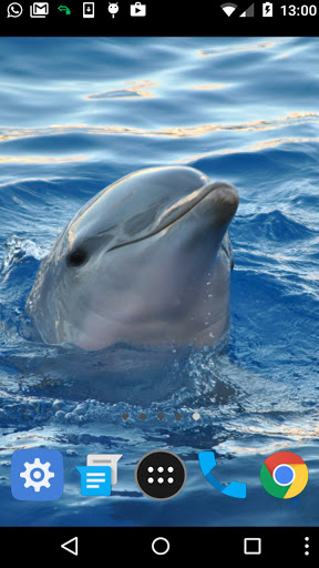 dolphin fish wallpaper Screen 2