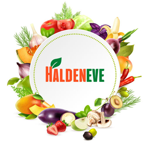 Halden Eve Download on Windows