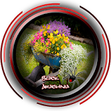 Garden Flowers Pots Design icon