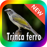 Best Trinca Ferro BirdSong icon