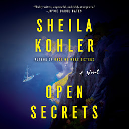 Icon image Open Secrets: A Novel